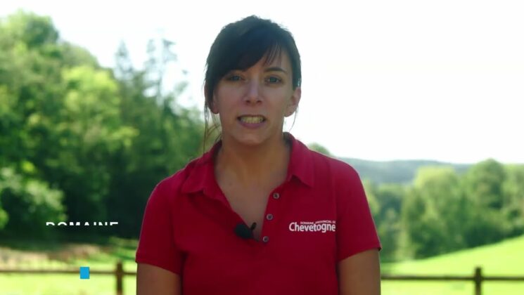 Domaine provincial de Chevetogne